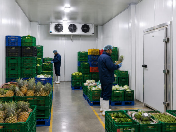 Uttar Dinajpur Sandwich Panel Horticulture Cold Room