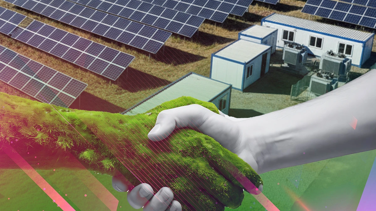 Renewable Energy Sector